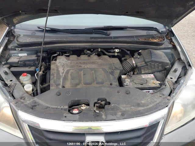2009 Honda Odyssey მანქანა იყიდება აუქციონზე, vin: 5FNRL38869B503248, აუქციონის ნომერი: 12651190
