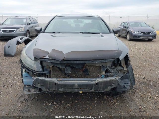 2009 Honda Accord Ex-l მანქანა იყიდება აუქციონზე, vin: 1HGCS128X9A800734, აუქციონის ნომერი: 12651201