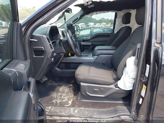 12651247 :رقم المزاد ، 1FTFX1E49KKE55024 vin ، 2019 Ford F-150 مزاد بيع