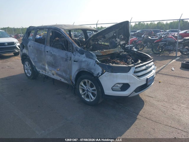 2019 1FMCU9GD3KUB36290 главное изображение