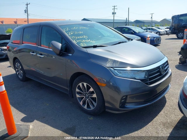Honda ODYSSEY EXL 2022 5FNRL6H66NB500215 main image