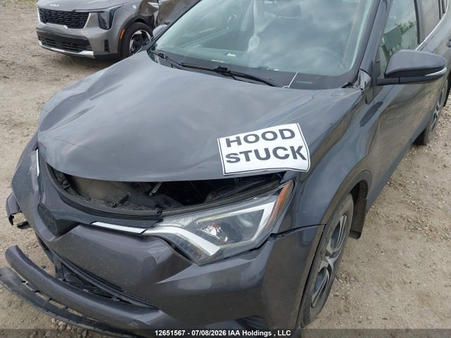 Toyota RAV4 LE 2016 2T3BFREV2GW415827 Image 10