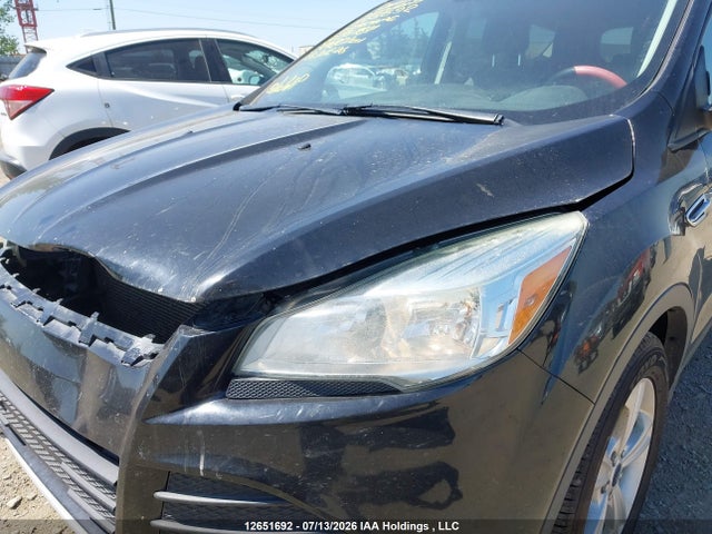 Ford ESCAPE SE 2016 1FMCU9G98GUC15764 Image 12