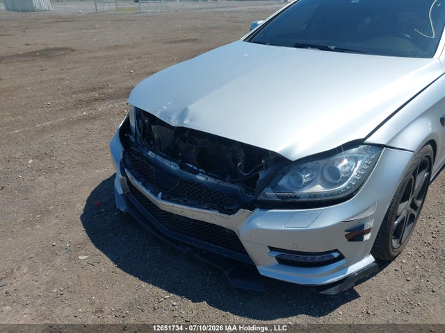 Mercedes-Benz CLS 550 2014 WDDLJ9BB2EA119334 Image 6