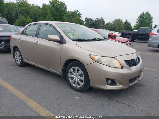 12651746 :رقم المزاد ، 2T1BU4EE5AC216099 vin ، 2010 Toyota Corolla Le مزاد بيع