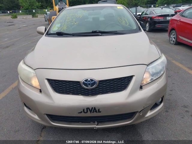 12651746 :رقم المزاد ، 2T1BU4EE5AC216099 vin ، 2010 Toyota Corolla Le مزاد بيع