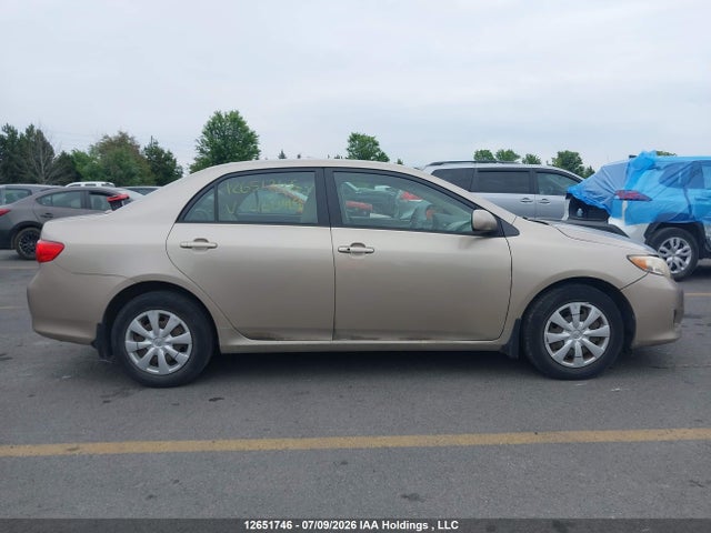 12651746 :رقم المزاد ، 2T1BU4EE5AC216099 vin ، 2010 Toyota Corolla Le مزاد بيع