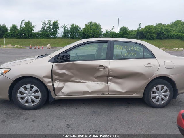 12651746 :رقم المزاد ، 2T1BU4EE5AC216099 vin ، 2010 Toyota Corolla Le مزاد بيع