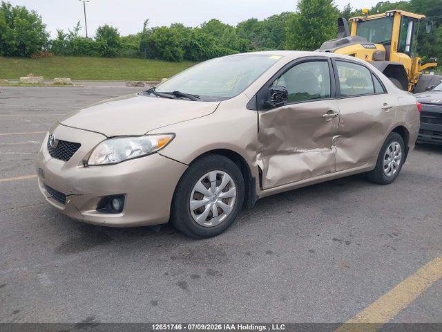 12651746 :رقم المزاد ، 2T1BU4EE5AC216099 vin ، 2010 Toyota Corolla Le مزاد بيع