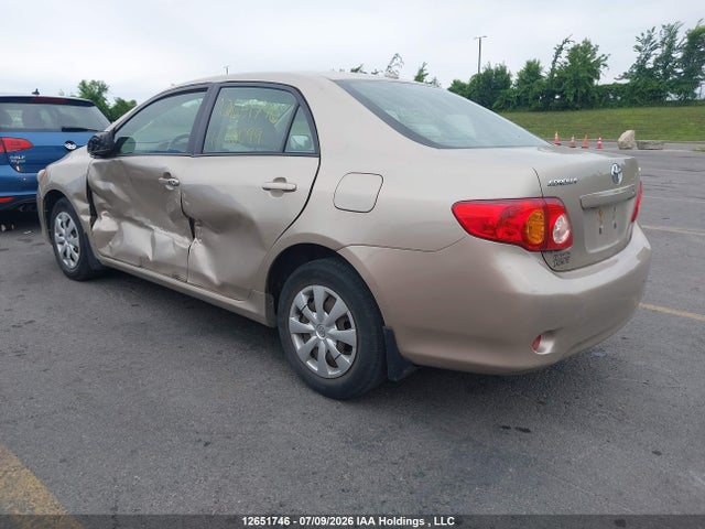 12651746 :رقم المزاد ، 2T1BU4EE5AC216099 vin ، 2010 Toyota Corolla Le مزاد بيع
