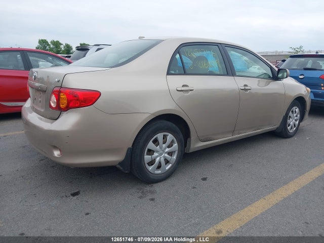 12651746 :رقم المزاد ، 2T1BU4EE5AC216099 vin ، 2010 Toyota Corolla Le مزاد بيع