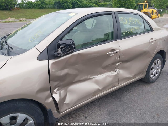 12651746 :رقم المزاد ، 2T1BU4EE5AC216099 vin ، 2010 Toyota Corolla Le مزاد بيع