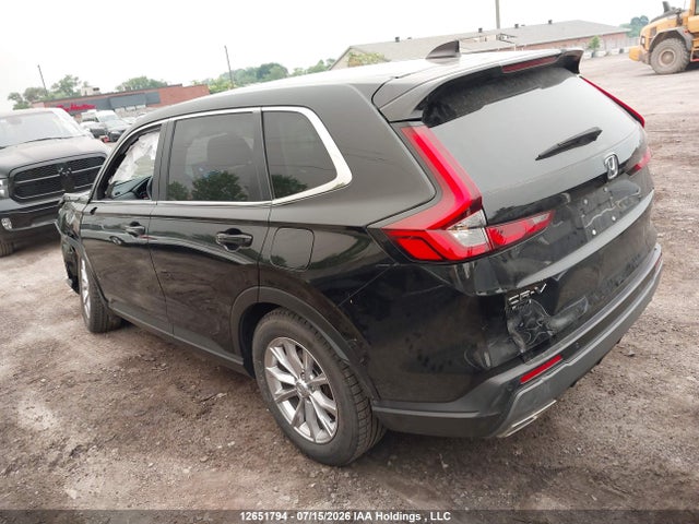 Honda Cr-v Ex-l 2024 2HKRS4H79RH102357 Image 3