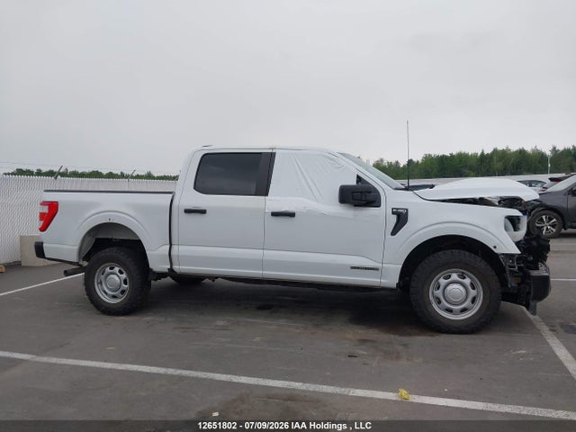 12651802 :رقم المزاد ، 1FTFW1ED6PFB06180 vin ، 2023 Ford F-150 Xl مزاد بيع