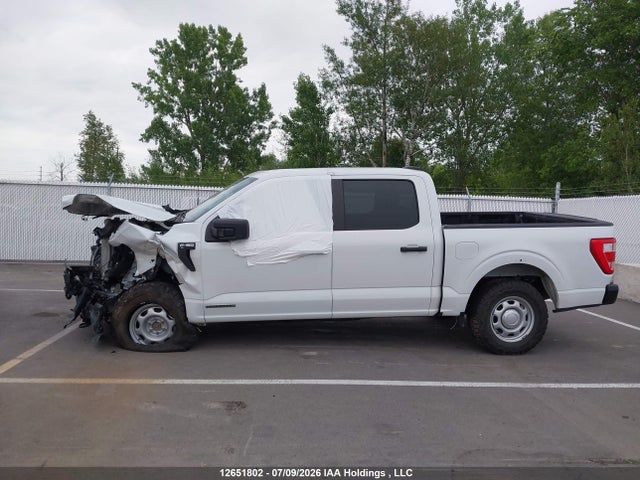 12651802 :رقم المزاد ، 1FTFW1ED6PFB06180 vin ، 2023 Ford F-150 Xl مزاد بيع