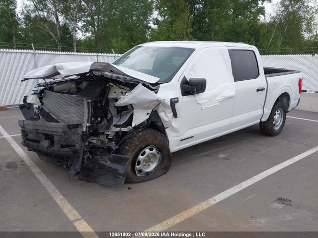 12651802 :رقم المزاد ، 1FTFW1ED6PFB06180 vin ، 2023 Ford F-150 Xl مزاد بيع