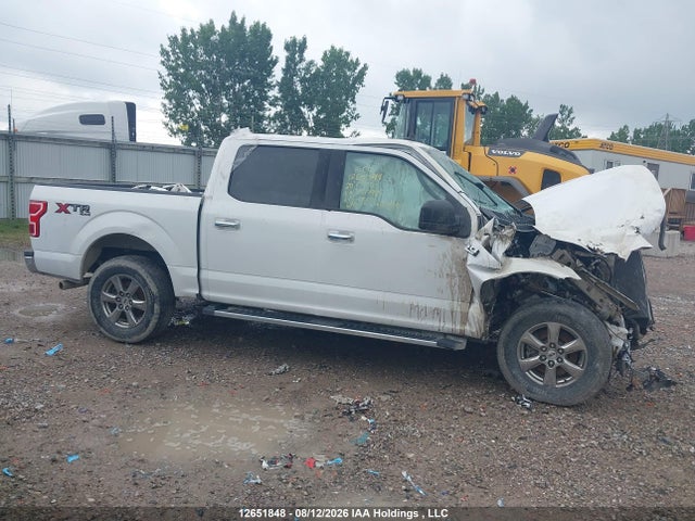 Ford F-150 Xlt 2020 1FTEW1E5XLFC67985 Image 13