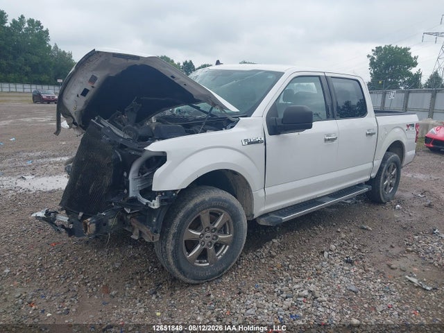 Ford F-150 Xlt 2020 1FTEW1E5XLFC67985 Image 2