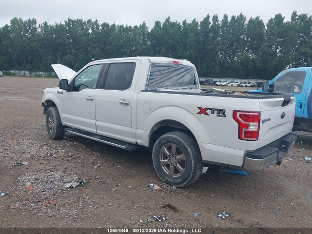 Ford F-150 Xlt 2020 1FTEW1E5XLFC67985 Image 3