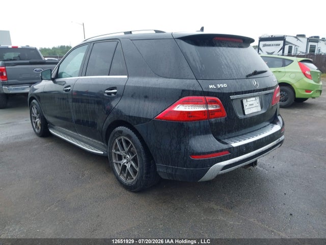 Mercedes-Benz Ml350 2014 4JGDA2EB4EA375844 Image 3