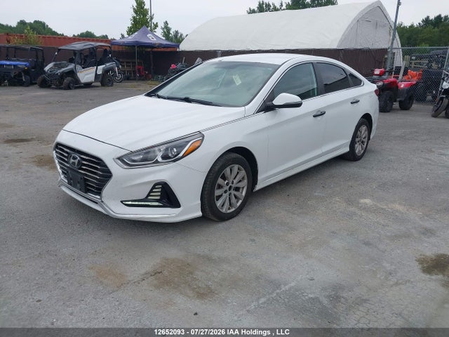Hyundai Sonata 2019 5NPE24AF5KH764071 Image 2