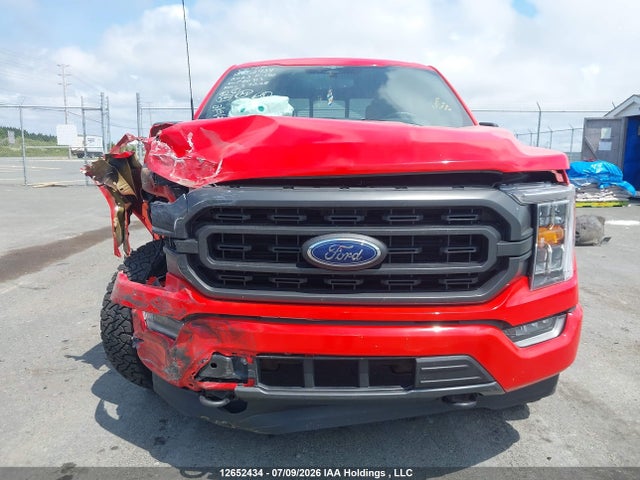 Ford F-150 Xlt 2023 1FTFW1E51PKF80313 Image 13