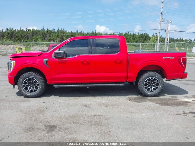 Ford F-150 Xlt 2023 1FTFW1E51PKF80313 Image 15