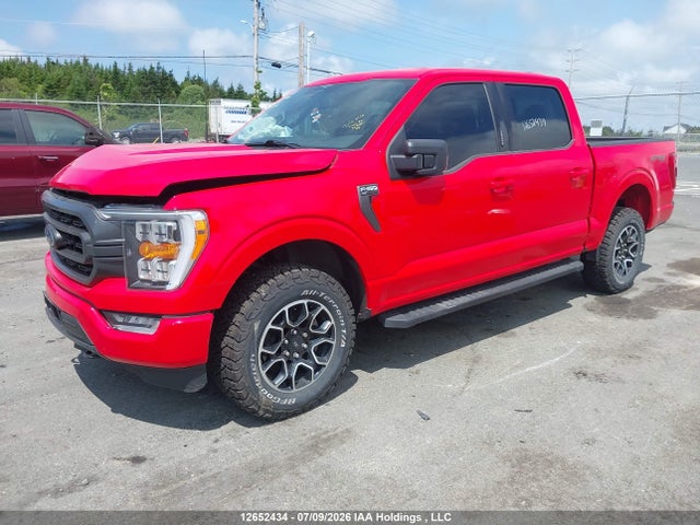 Ford F-150 Xlt 2023 1FTFW1E51PKF80313 Image 2