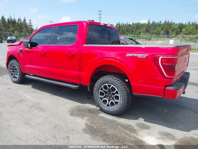 Ford F-150 Xlt 2023 1FTFW1E51PKF80313 Image 3