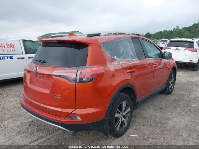 Toyota Rav4 Xle 2016 2T3RFREV5GW430935 Image 4