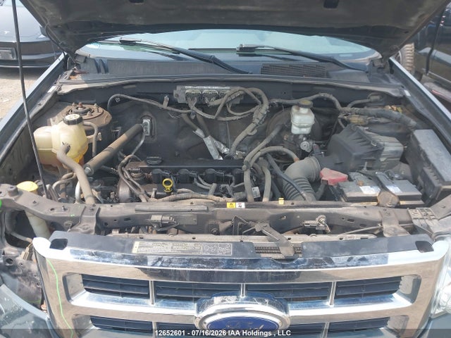 12652601 :رقم المزاد ، 1FMCU037X9KA98235 vin ، 2009 Ford Escape Xlt مزاد بيع