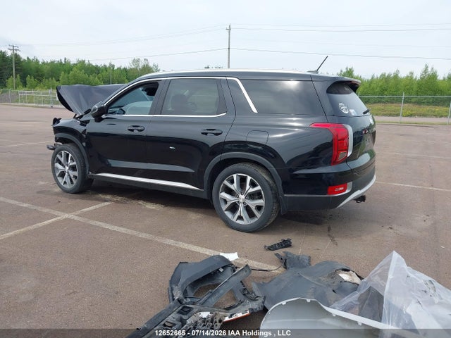 Hyundai Palisade Sel 2020 KM8R3DHE3LU066850 Image 3