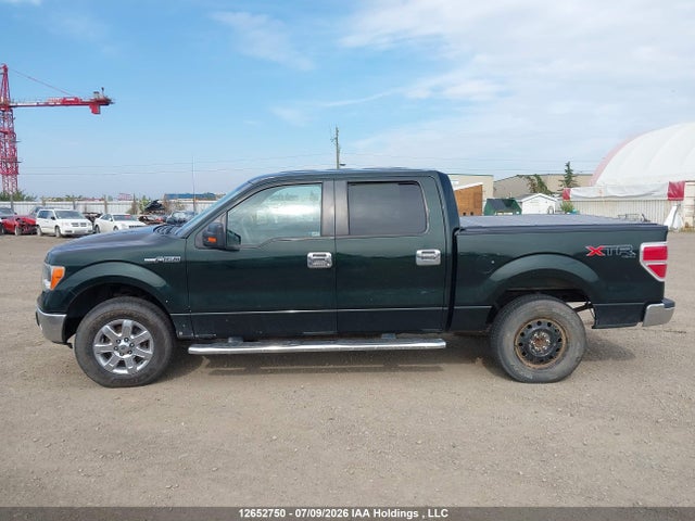 12652750 :رقم المزاد ، 1FTFW1EF2EKF97126 vin ، 2014 Ford F150 Supercrew مزاد بيع