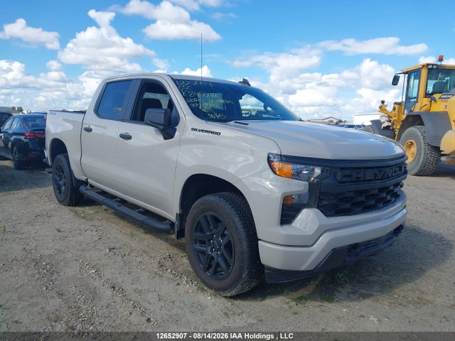Продаж на аукціоні авто 2026 Chevrolet Silverado K1500 Custom, vin: 3GCPKBEK8TG245644, номер лоту: 12652907