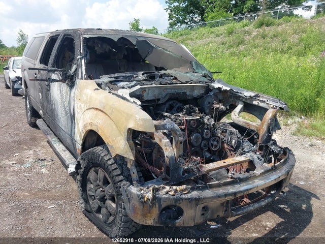 Продажа на аукционе авто 2010 Ford F-150 Xlt, vin: 1FTFW1E88AFD36913, номер лота: 12652918