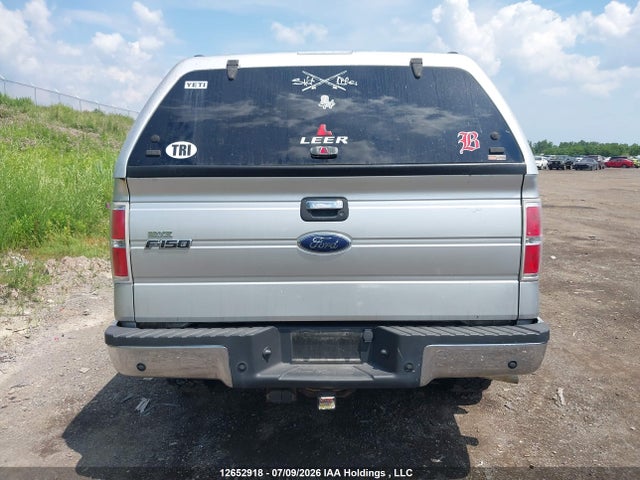 Auction sale of the 2010 Ford F-150 Xlt, vin: 1FTFW1E88AFD36913, lot number: 12652918