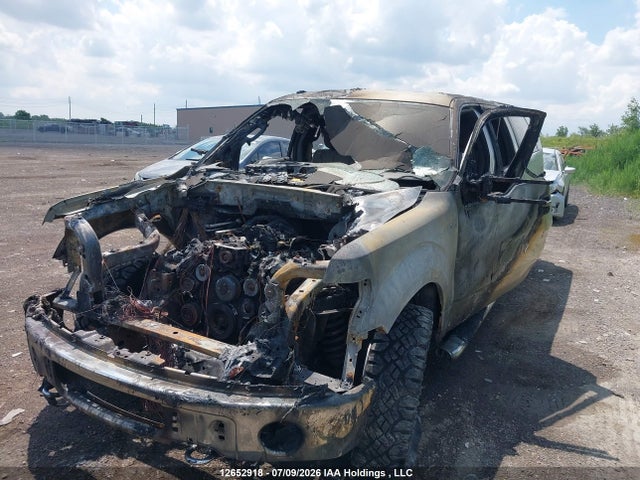 Auction sale of the 2010 Ford F-150 Xlt, vin: 1FTFW1E88AFD36913, lot number: 12652918