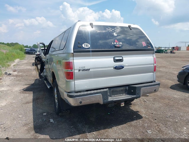 Auction sale of the 2010 Ford F-150 Xlt, vin: 1FTFW1E88AFD36913, lot number: 12652918