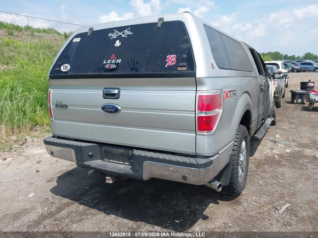 Auction sale of the 2010 Ford F-150 Xlt, vin: 1FTFW1E88AFD36913, lot number: 12652918