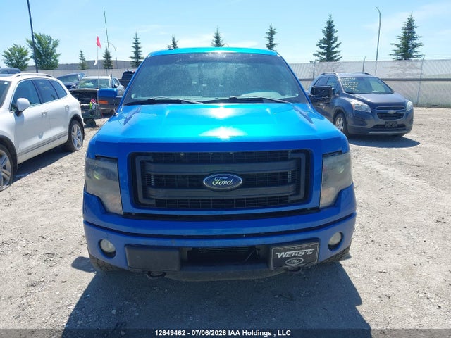 12649462 :رقم المزاد ، 1FTFW1ET6DFC98381 vin ، 2013 Ford F-150 Fx4/king Ranch/lariat/limited/platinum/xlt مزاد بيع