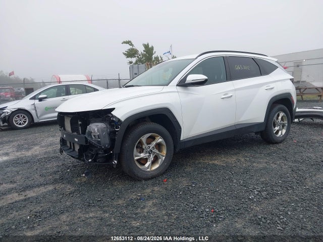 Hyundai TUCSON SEL 2024 KM8JBCDE9RU345468 Image 2