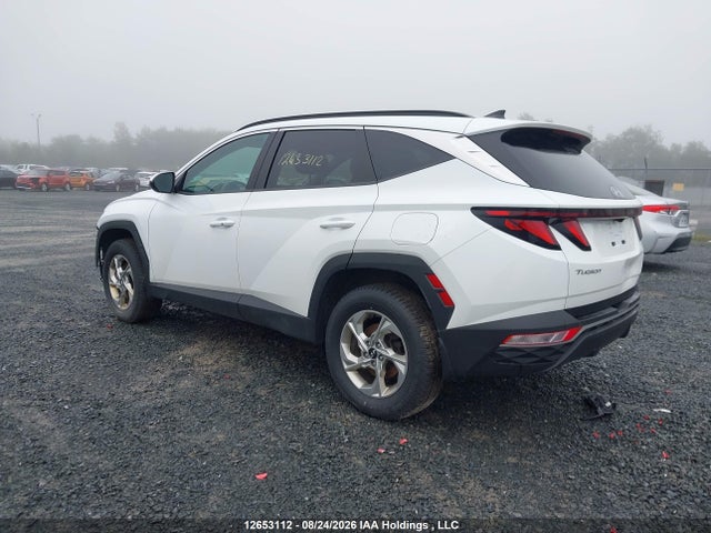 Hyundai TUCSON SEL 2024 KM8JBCDE9RU345468 Image 3