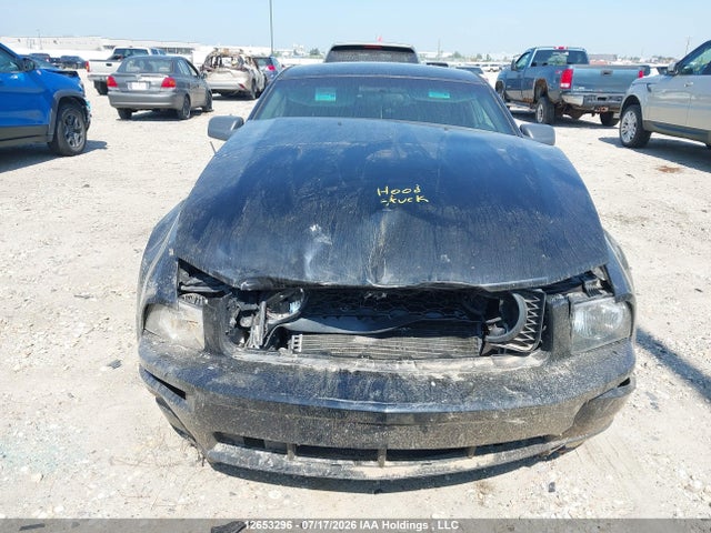 12653296 :رقم المزاد ، 1ZVHT82H955111942 vin ، 2005 Ford Mustang Gt مزاد بيع