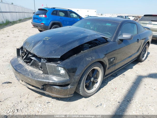 12653296 :رقم المزاد ، 1ZVHT82H955111942 vin ، 2005 Ford Mustang Gt مزاد بيع