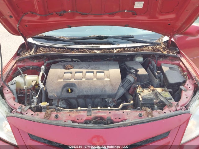 12653334 :رقم المزاد ، 2T1BU4EE6CC847608 vin ، 2012 Toyota Corolla مزاد بيع
