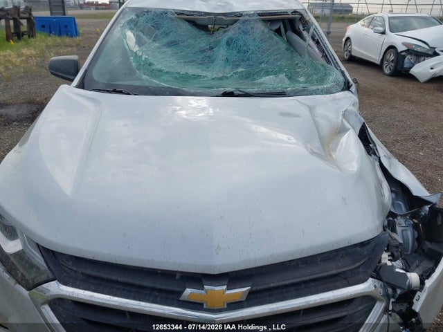 Chevrolet EQUINOX LS 2018 2GNAXREV4J6324982 Image 10
