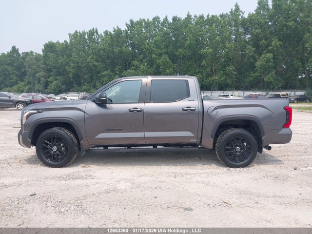 5TFWA5DB1RX174597 Toyota Tundra Crewmax Limited/crewmax Platinum/crewmax 1794