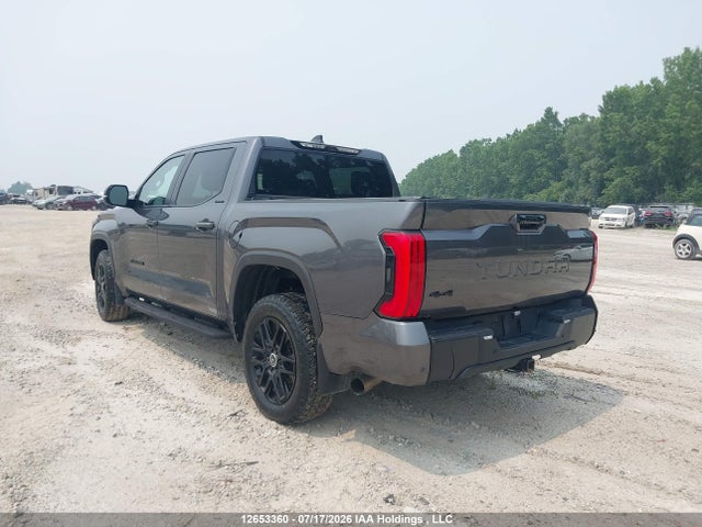 5TFWA5DB1RX174597 Toyota Tundra Crewmax Limited/crewmax Platinum/crewmax 1794