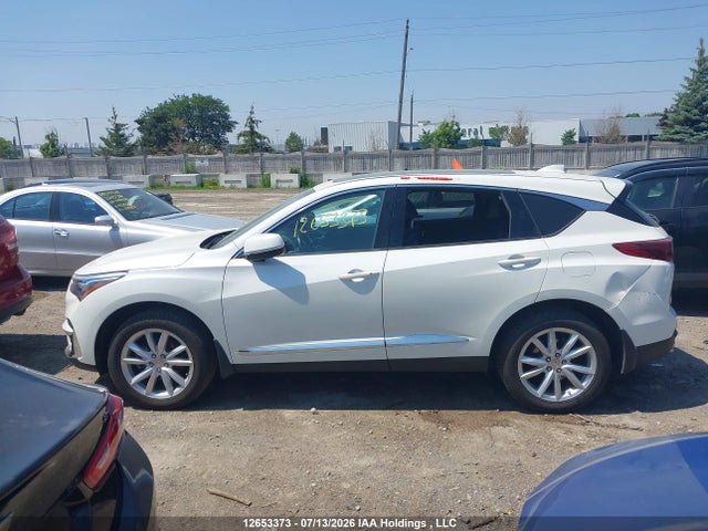 Acura Rdx Tech 2019 5J8TC2H37KL805303 Image 15