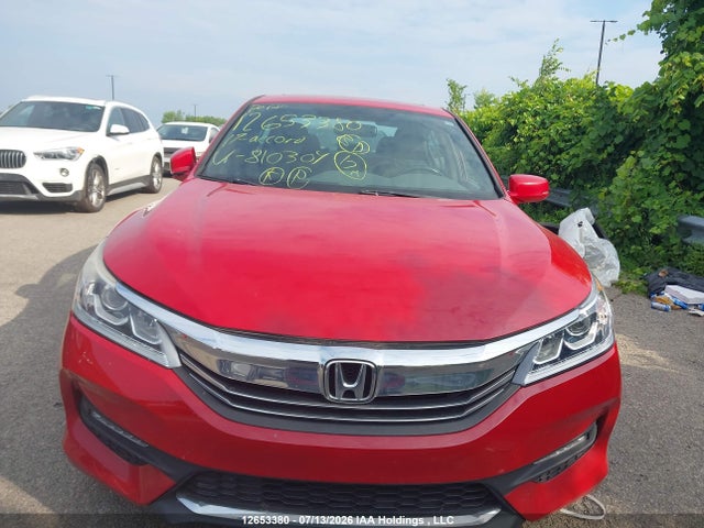 2017 Honda Accord Sport მანქანა იყიდება აუქციონზე, vin: 1HGCR2F52HA810304, აუქციონის ნომერი: 12653380
